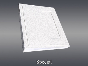 13. Special